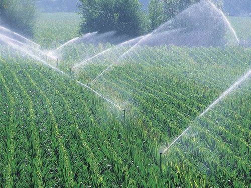 农业灌溉供应商(图)