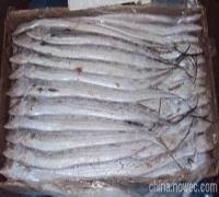 北海厂家直销冷冻章鱼,冷冻带鱼批发价(图) - 供